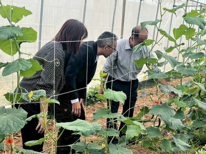 職訓農作班-老師介紹溫室小黃瓜栽種