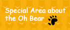 oh Bear News